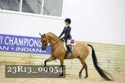 23R13_09954 thumbnail