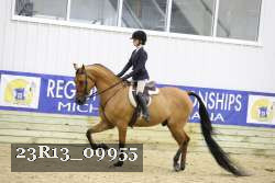 23R13_09955 thumbnail