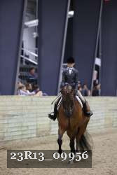 23R13_09956 thumbnail