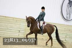 23R13_09957 thumbnail