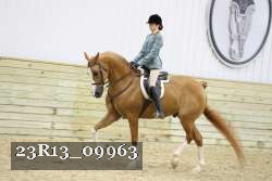 23R13_09963 thumbnail