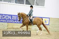 23R13_09964 thumbnail