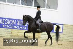 23R13_09966 thumbnail