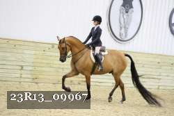23R13_09967 thumbnail
