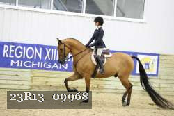 23R13_09968 thumbnail