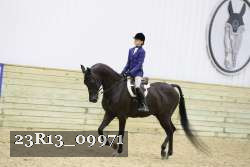 23R13_09971 thumbnail