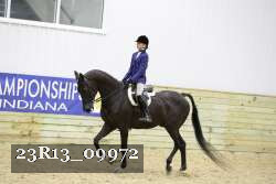 23R13_09972 thumbnail
