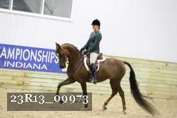 23R13_09973 thumbnail