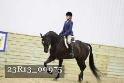 23R13_09975 thumbnail