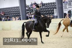 23R13_09976 thumbnail