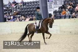 23R13_09977 thumbnail