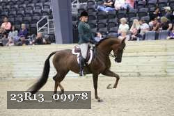 23R13_09978 thumbnail