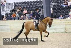 23R13_09980 thumbnail
