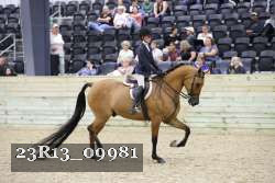 23R13_09981 thumbnail