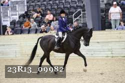 23R13_09982 thumbnail