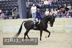 23R13_09983 thumbnail
