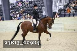 23R13_09984 thumbnail