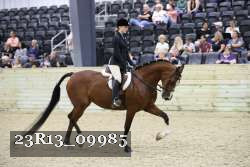 23R13_09985 thumbnail