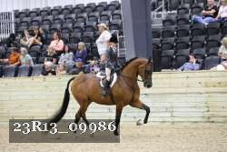 23R13_09986 thumbnail