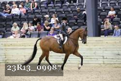 23R13_09987 thumbnail