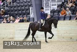 23R13_09988 thumbnail