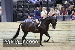 23R13_09990 thumbnail