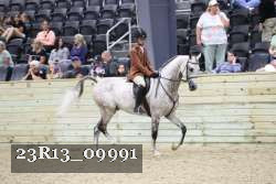 23R13_09991 thumbnail