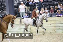 23R13_09992 thumbnail
