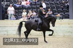 23R13_09993 thumbnail