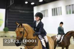 23R13_10001 thumbnail