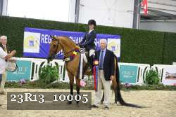 23R13_10005 thumbnail