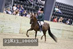 23R13_10008 thumbnail