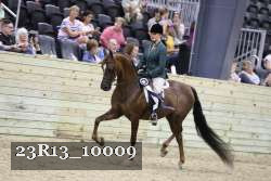 23R13_10009 thumbnail