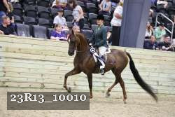 23R13_10010 thumbnail