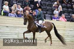 23R13_10011 thumbnail