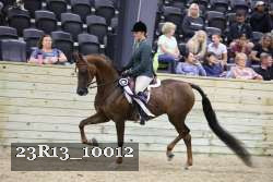 23R13_10012 thumbnail