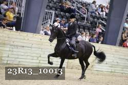 23R13_10013 thumbnail