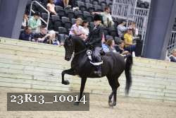 23R13_10014 thumbnail