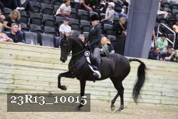23R13_10015 thumbnail