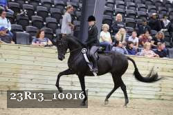 23R13_10016 thumbnail