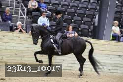 23R13_10017 thumbnail