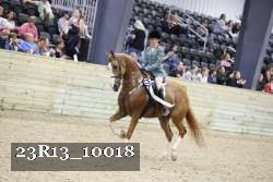 23R13_10018 thumbnail