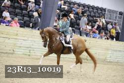 23R13_10019 thumbnail