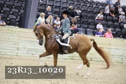 23R13_10020 thumbnail
