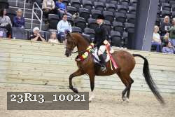 23R13_10021 thumbnail