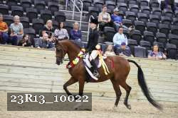 23R13_10022 thumbnail