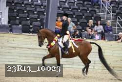 23R13_10023 thumbnail