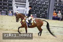 23R13_10024 thumbnail