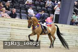 23R13_10025 thumbnail