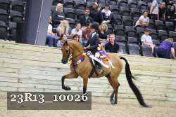 23R13_10026 thumbnail